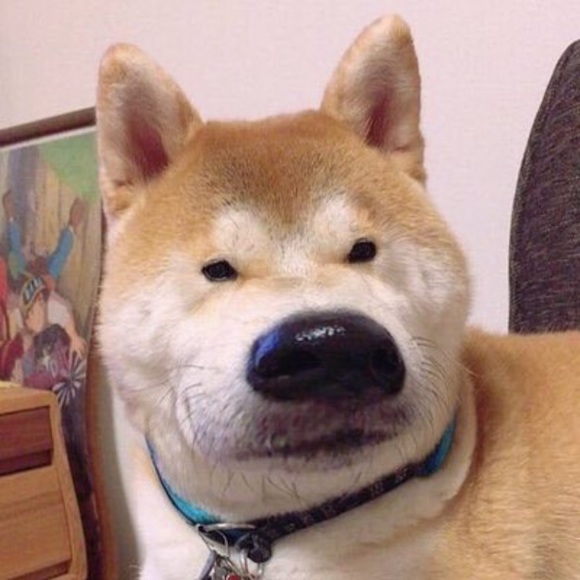 Meet your Posher, Luke - Picture 1 of 1